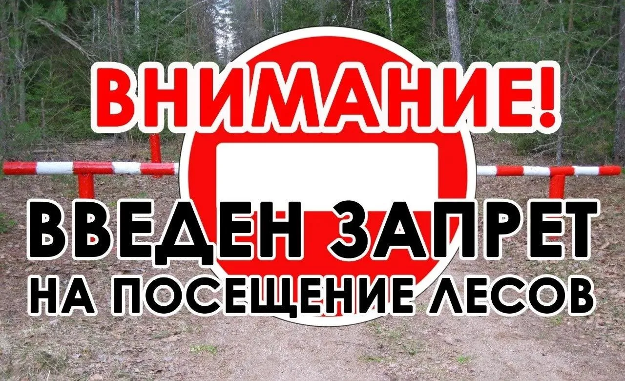 ВНИМАНИЕ!!!

На территории Краснодарского края возобновляется ограничение на пребывание граждан в ле