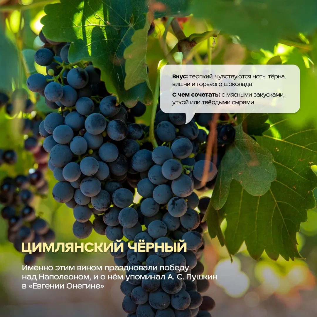 «Красностоп золотовский» — звучит как заклинание из сказки 💫  А на деле это эксклюзивный сорт виногр