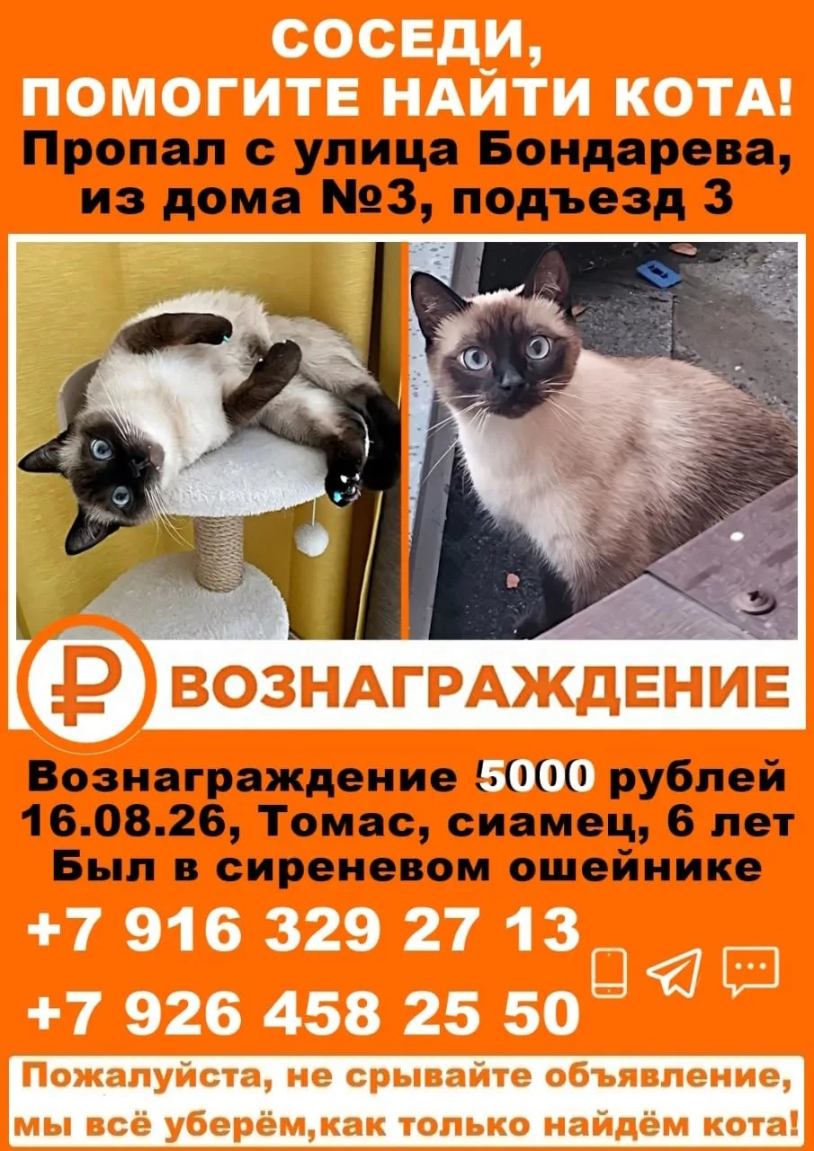 НЕ ЗАБУДЬ ПОДПИСАТЬСЯ ⤵️