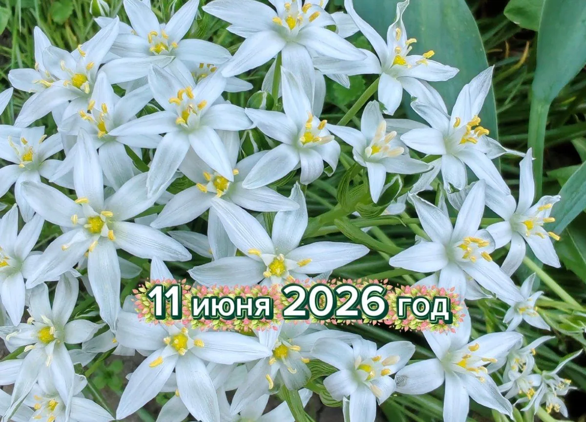 1️⃣1️⃣.0️⃣6️⃣.2️⃣0️⃣2️⃣6️⃣
🔔Сегодня общий день под управлением энергии цифры
9️⃣

Мир будет находит