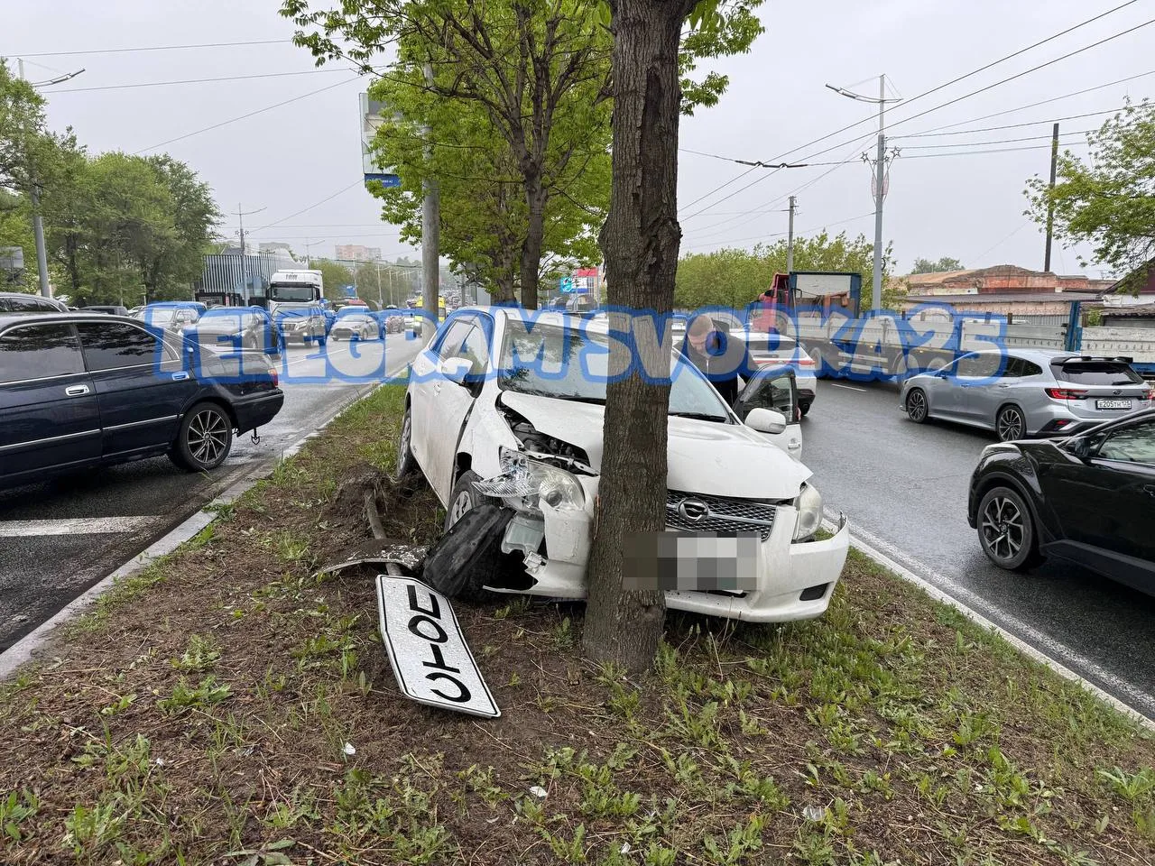 Во Владивостоке на Проспекте Столетия автомобиль вылетел с дороги и врезался в дерево  Со слов водит