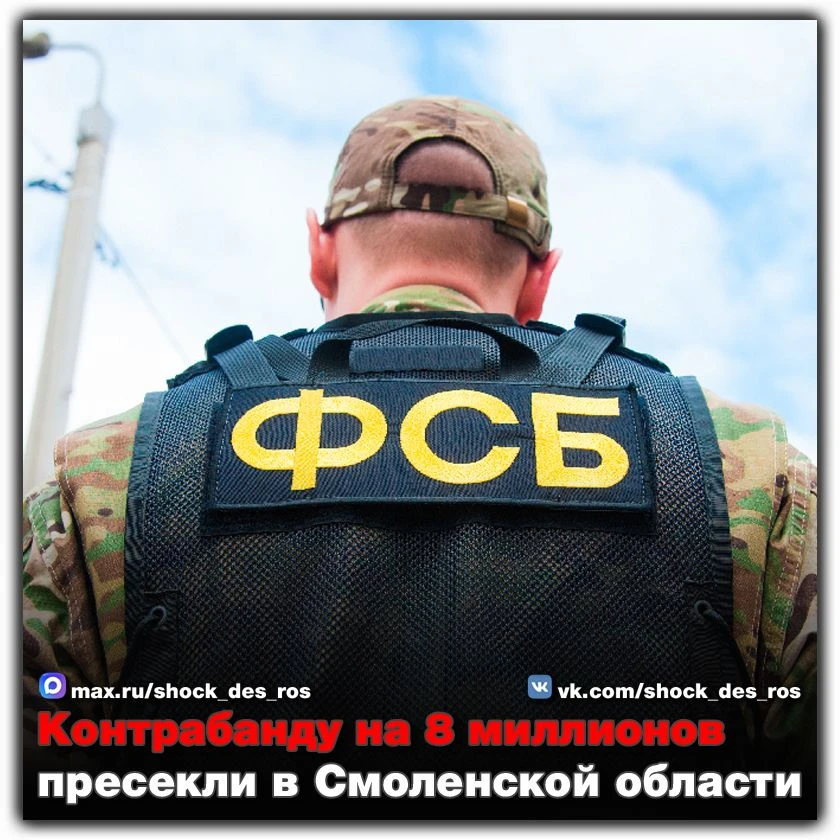 🔴 Контрабанду на 8 миллионов пресекли в Смоленской области