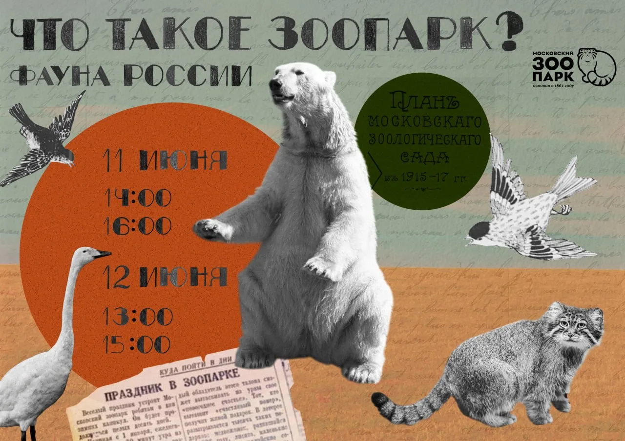 🇷🇺День России в Московском зоопарке🇷🇺