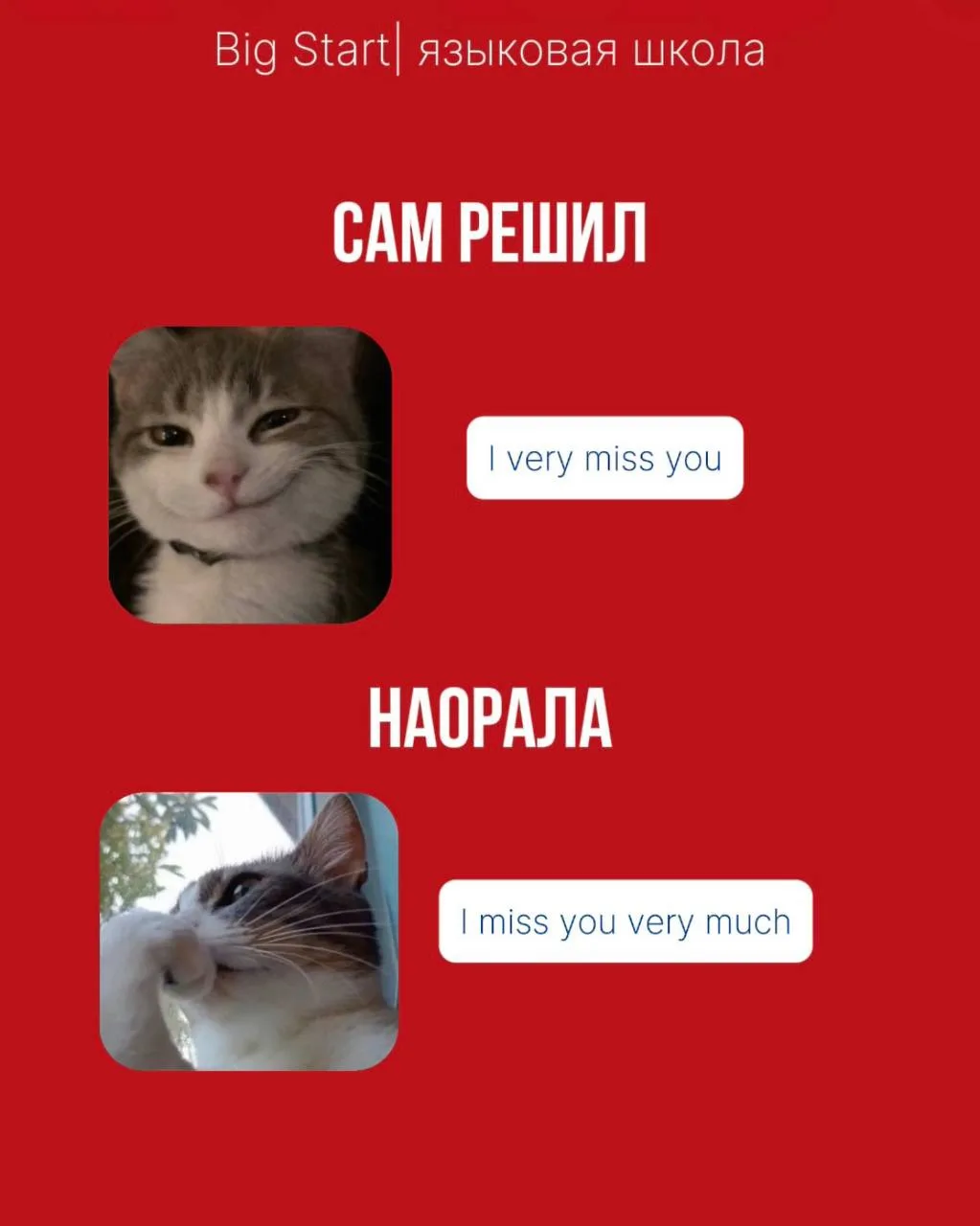 Иногда нужно честно сказать: было 🤝

🌟В карусели собрали фразы, на которых чаще всего спотыкаются 
