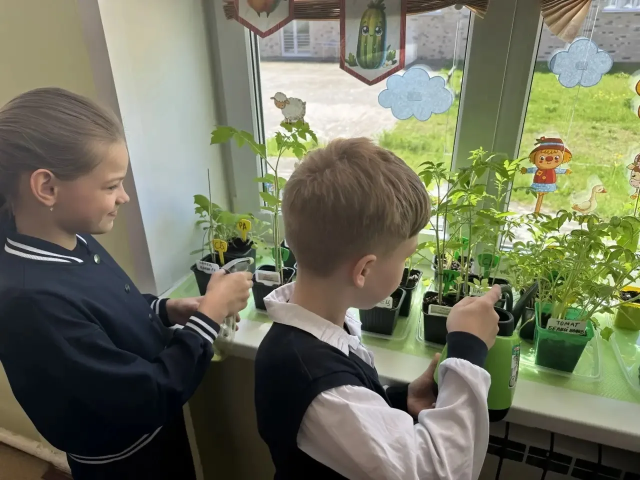 🌱У ребят из 3 «Г» класса на подоконнике ожил настоящий огород! 🌱Они решили провести эксперимент - мо