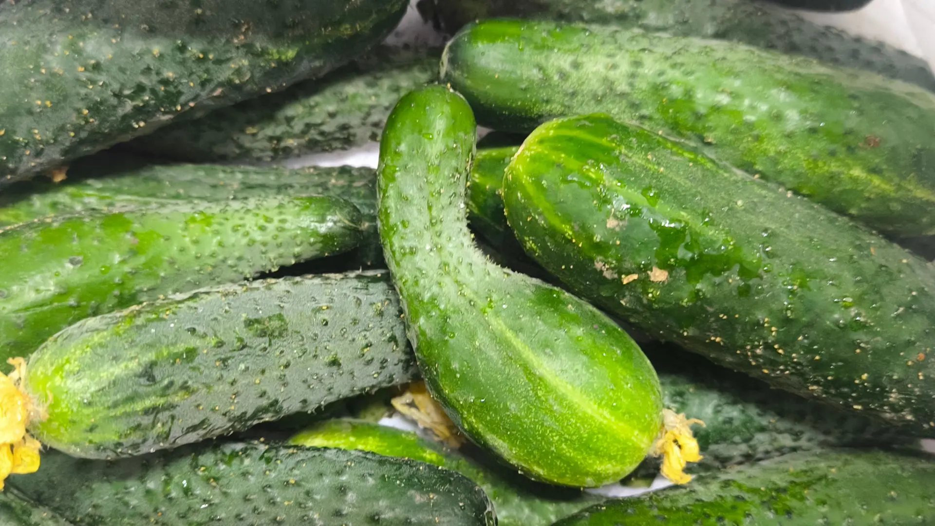 За что люблю август 🥰 Спасибо папе с мамой ❤️