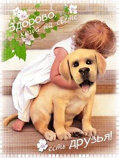 🌸 Пусть сегодня всё сложится удачно!