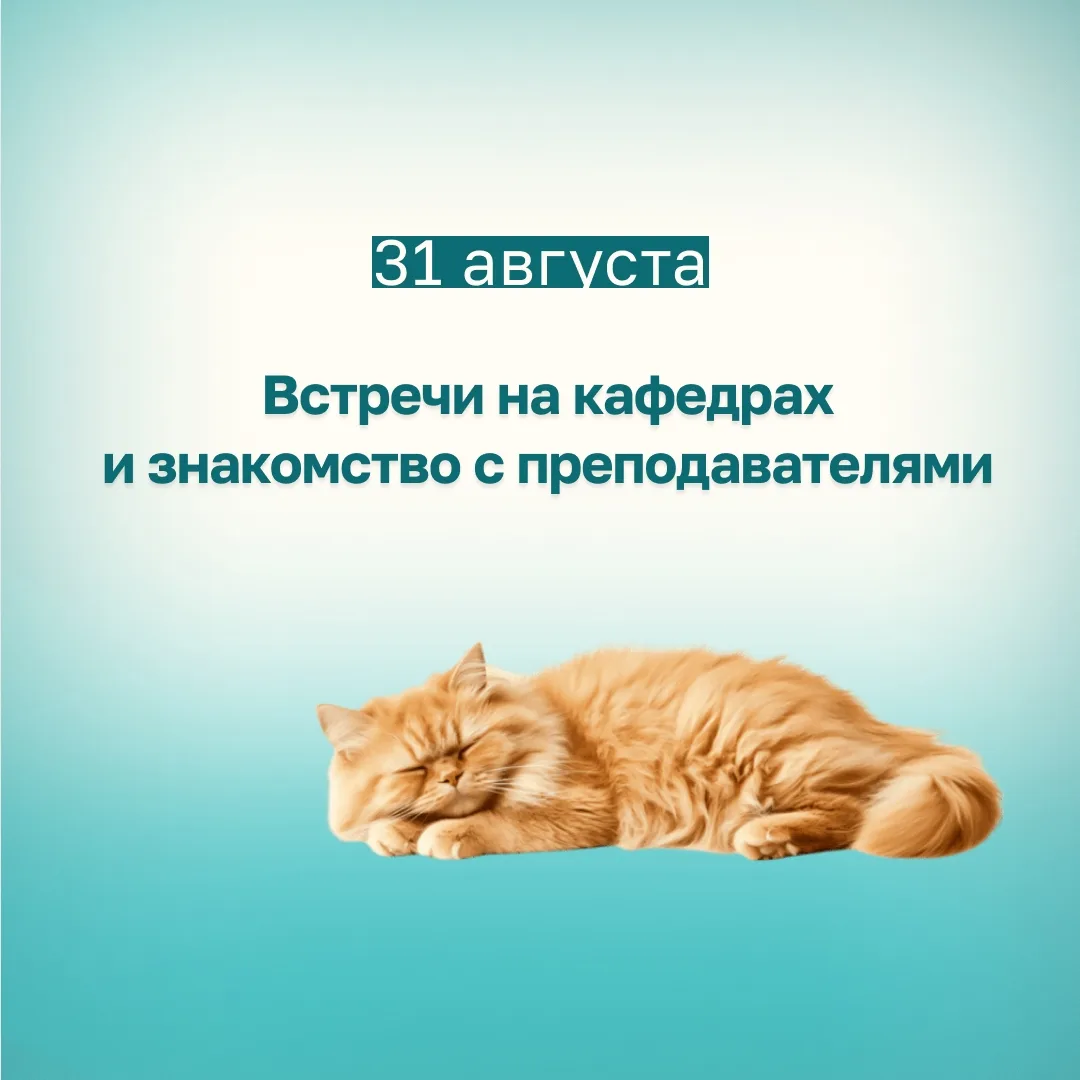 Дополнительно напоминанием о встречах с преподавателями 31 августа! ⚡️