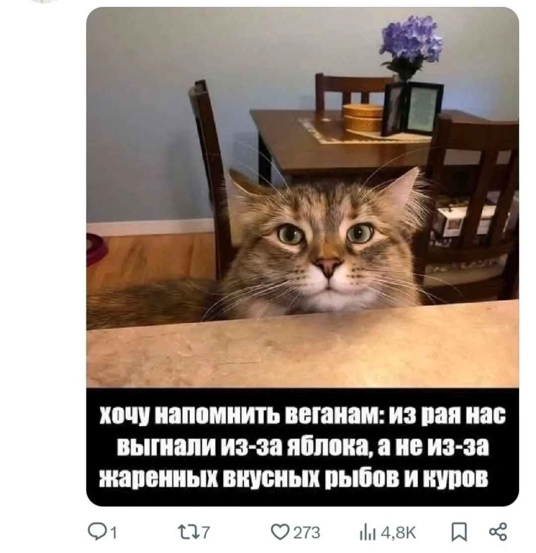 По Щучьему Велению