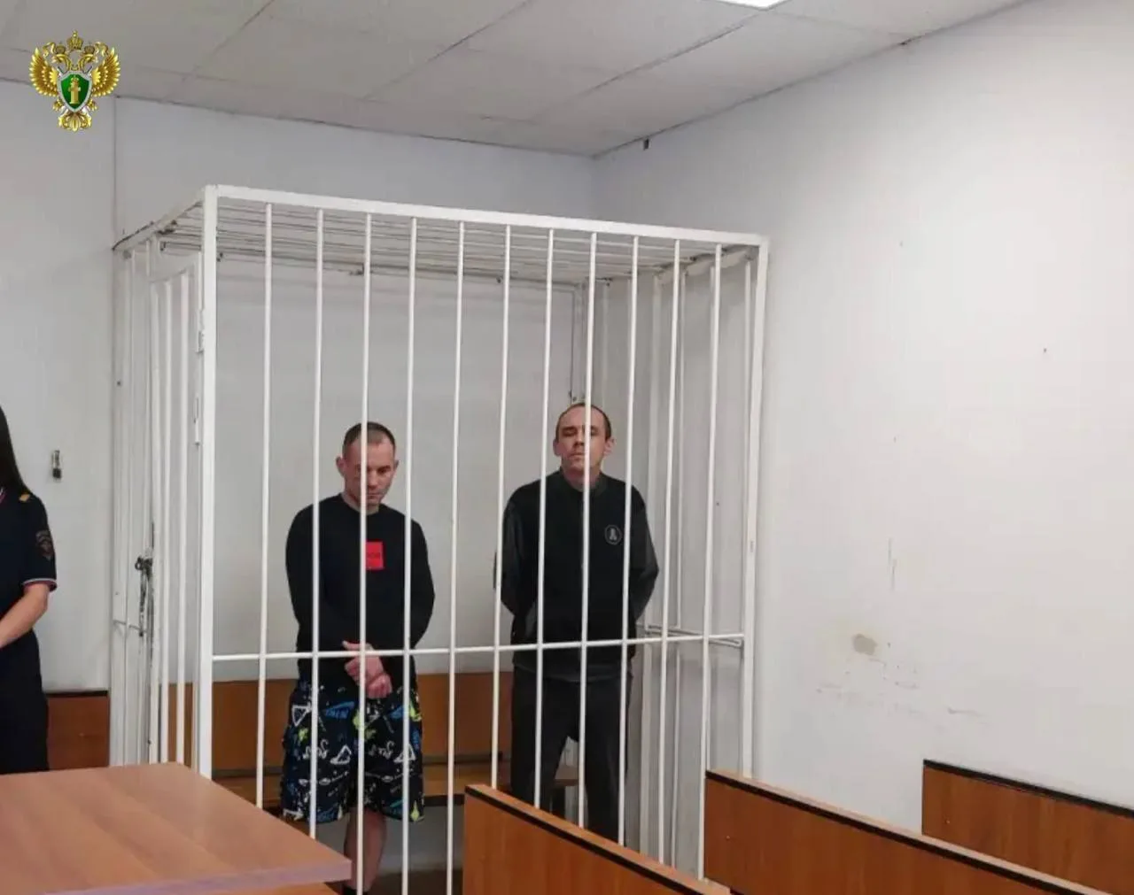 Двое мужчин осуждены на 7 лет колонии за нападение на пожилую женщину