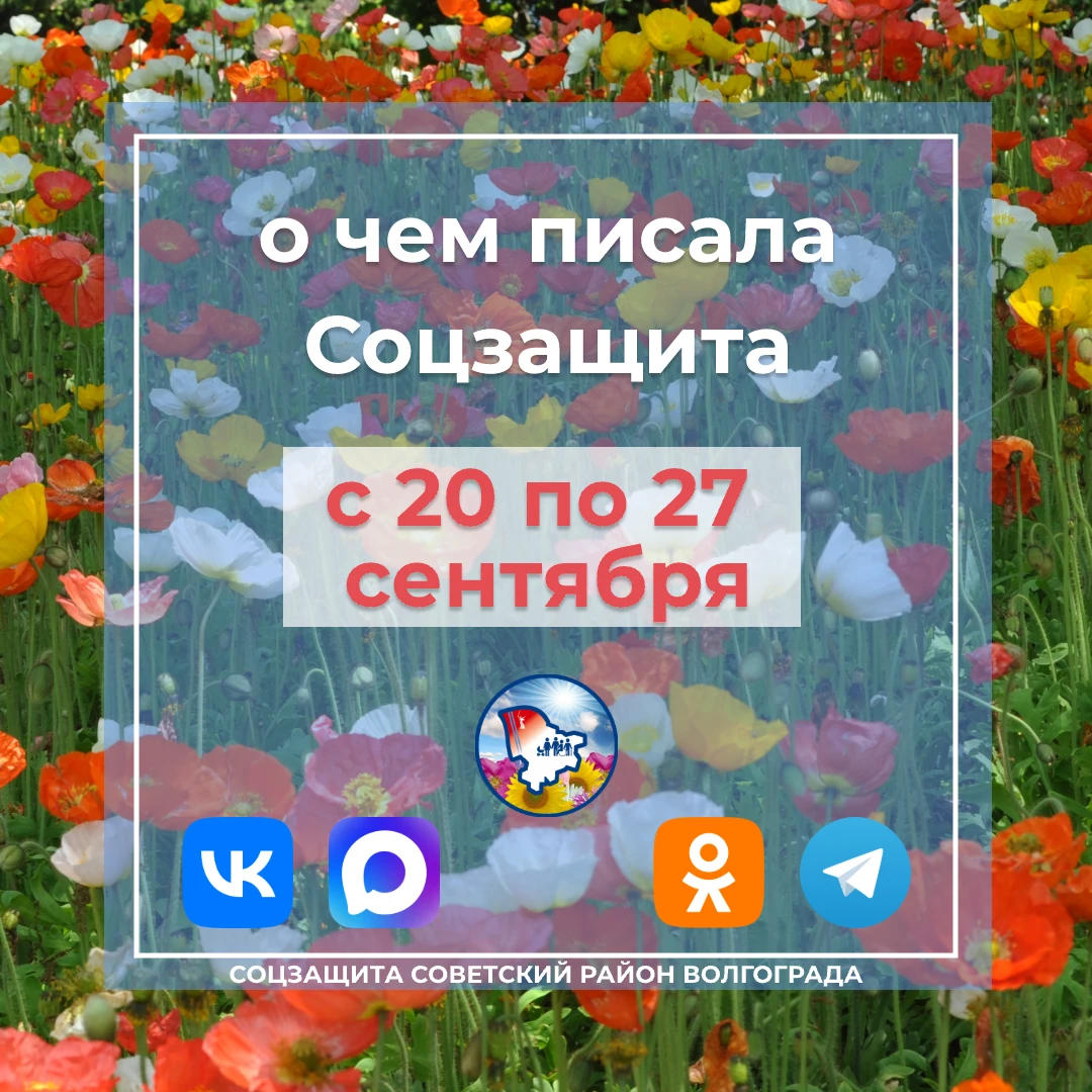 ✍ О чем писала Соцзащита с 20 по 27 сентября