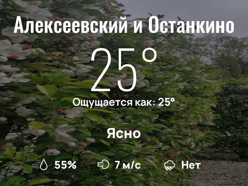Что с погодой в районе ВДНХ?

Одевайтесь по погоде, берегите себя!
Приятного дня, соседи!

Читай гла