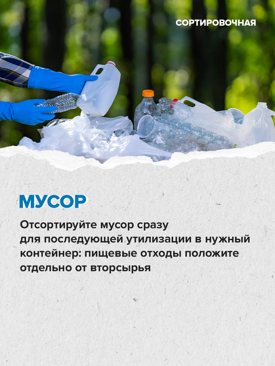 🍢 В пяти парках Москвы уже можно забронировать места для пикника  ⬆️ Как провести время на природных