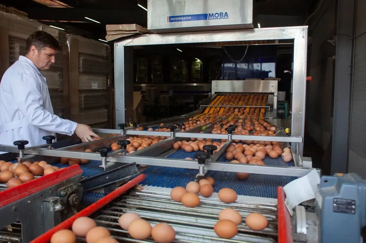 Буйская птицефабрика взяла обязательство не повышать цены на продукцию в течение нескольких месяцев 