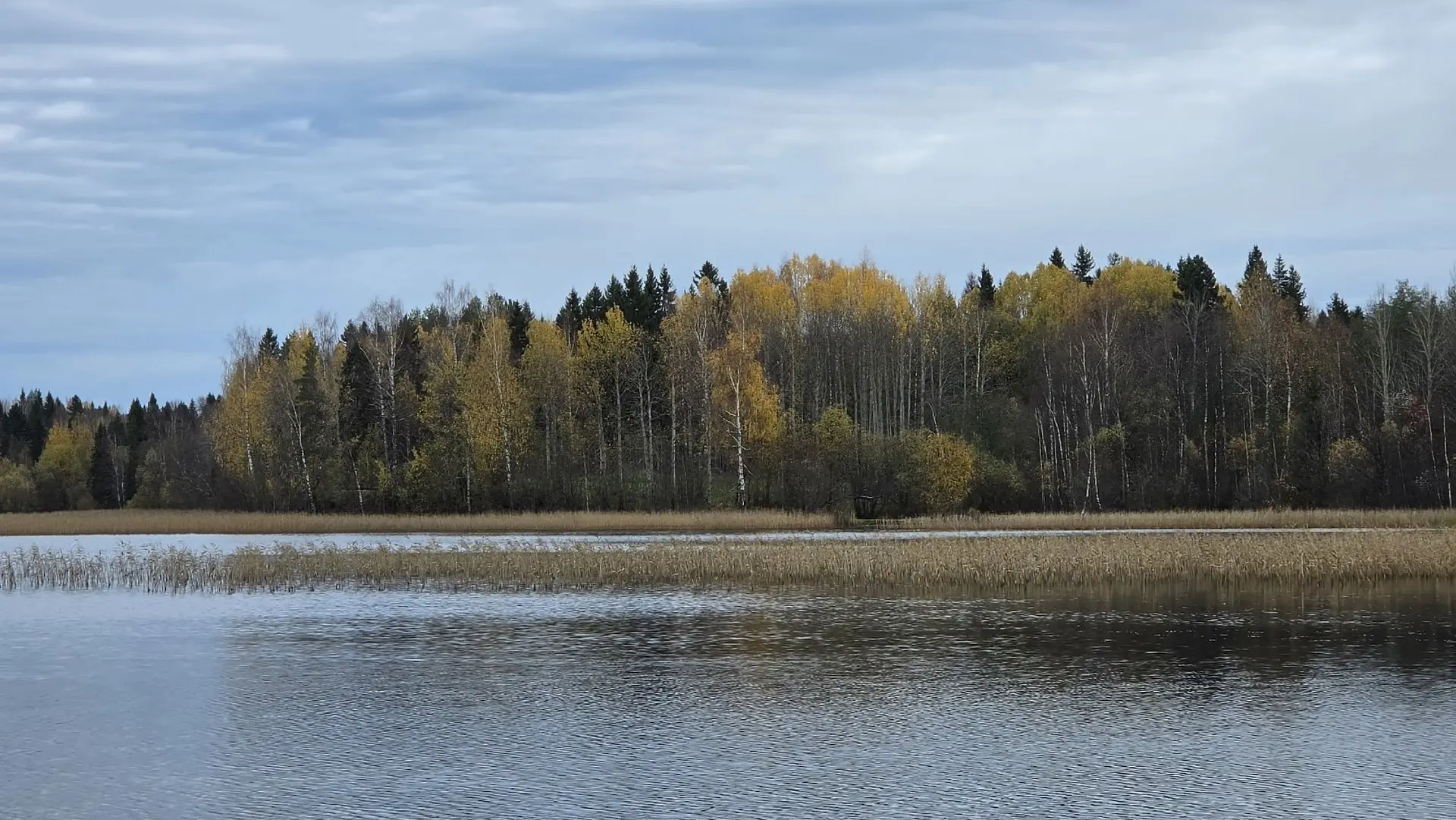 Осень в Беломорье. Наша область прекрасна! 🍂❤️
