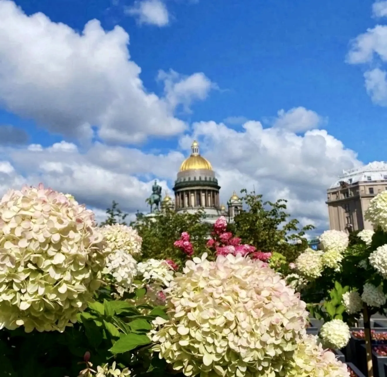 ❤Санкт-Петербург из Перми 
✈️Вылет 24 июня на 3 ночи/4 дня 
🏨Отель Moscow (Москва) 4*- 25000₽ 
🥐Пи