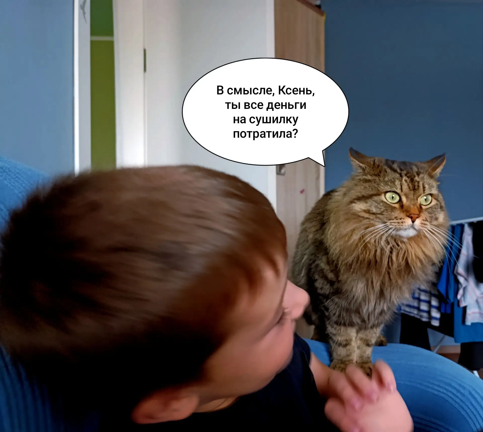 А надо было на котиков😅
