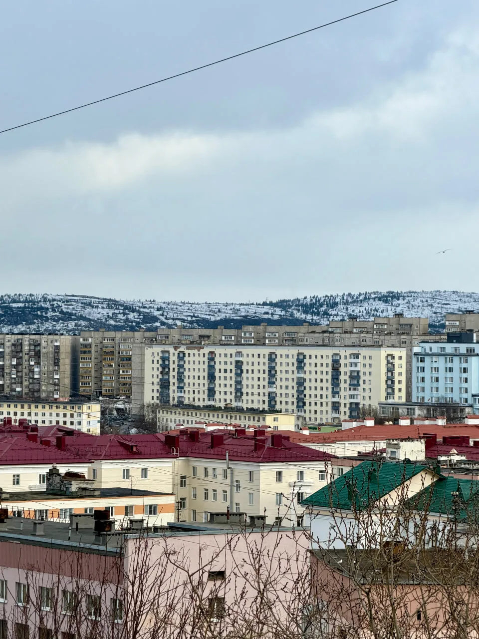 Фото — Ирина Кудрявцева.