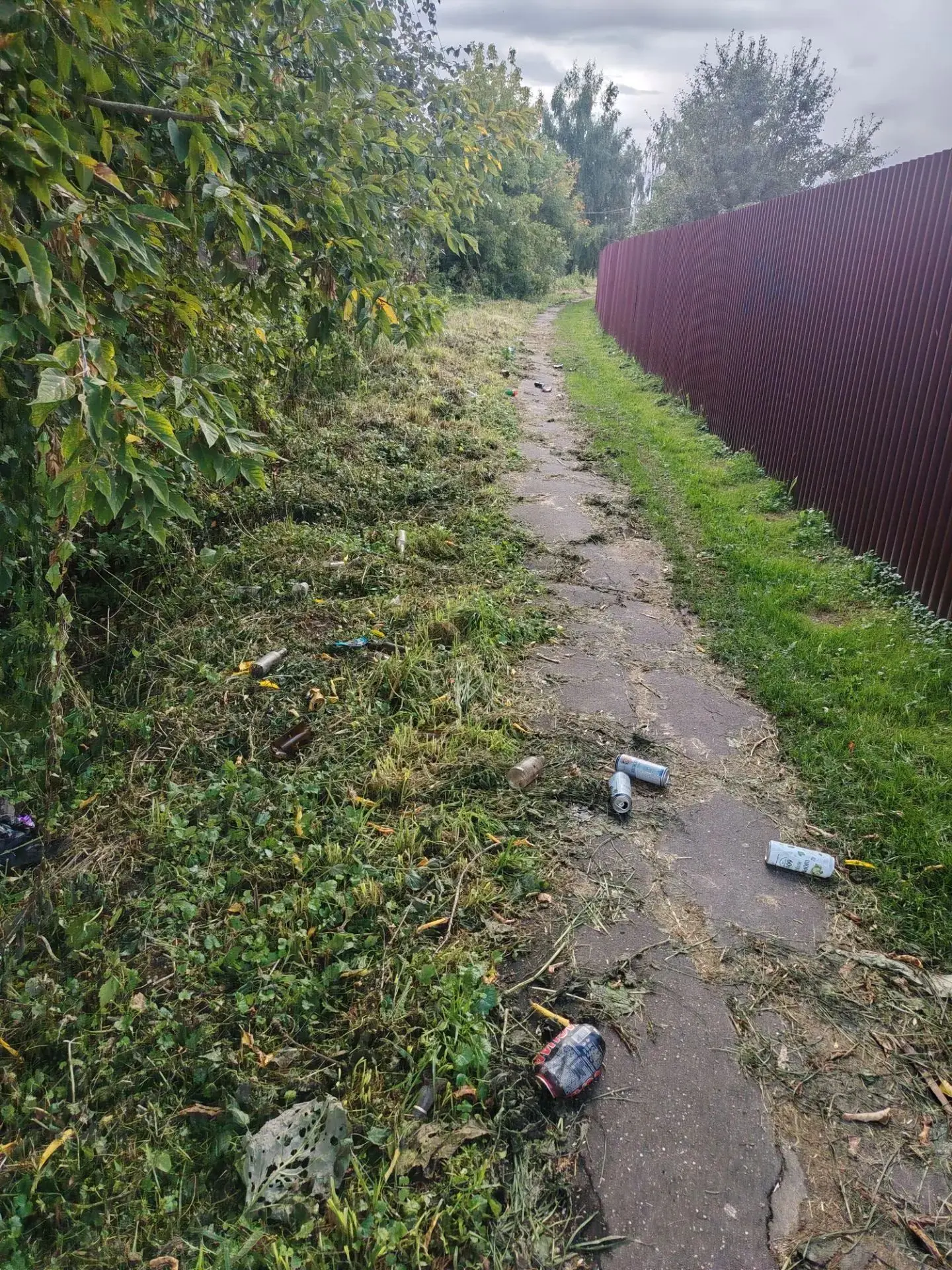 Тропинка в школу  деревня подмошье...