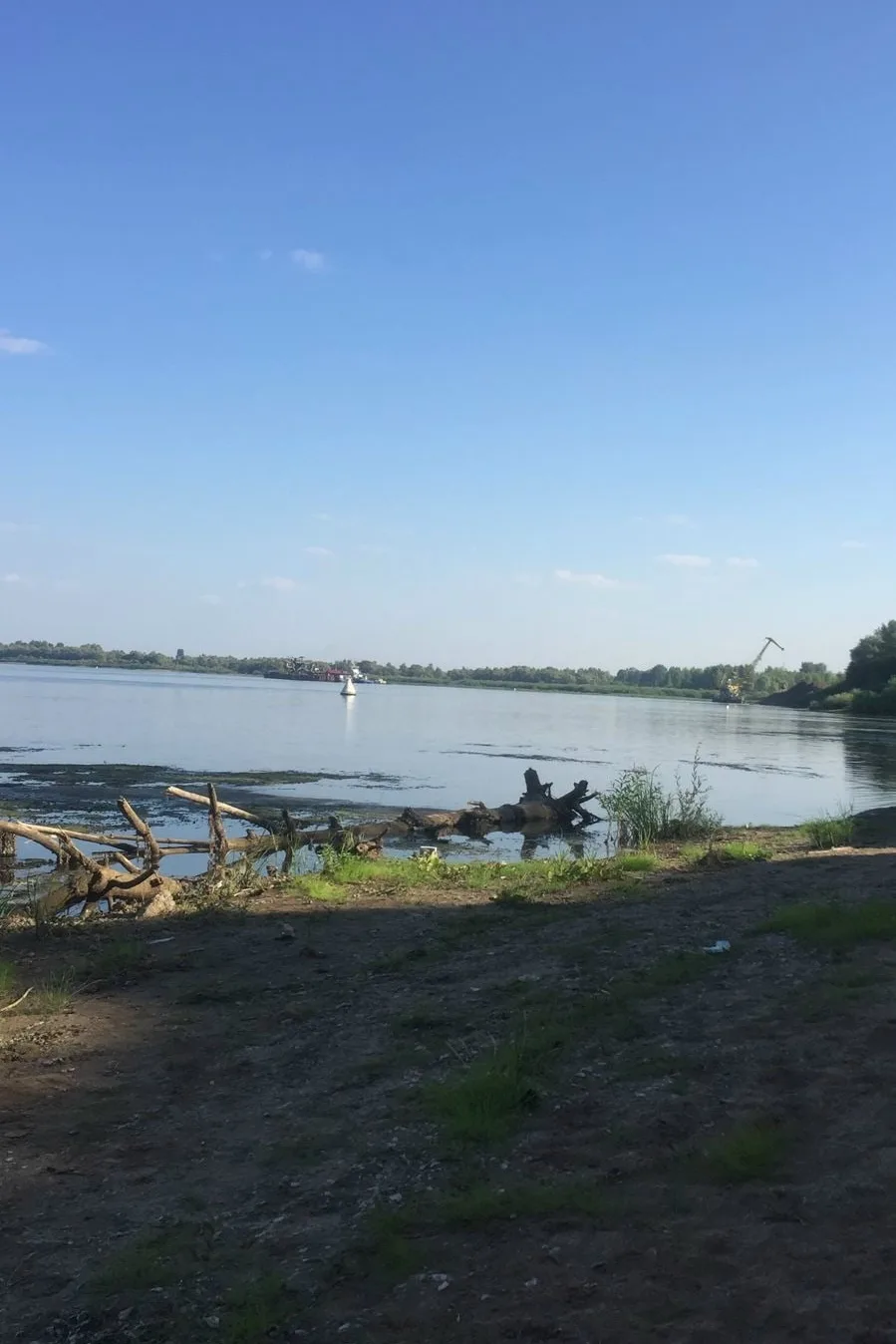 Доброе утро, что помогает быстрее прийти в себя с утра?🛁
Сегодня понедельник, 15 июня 2026 года в Д