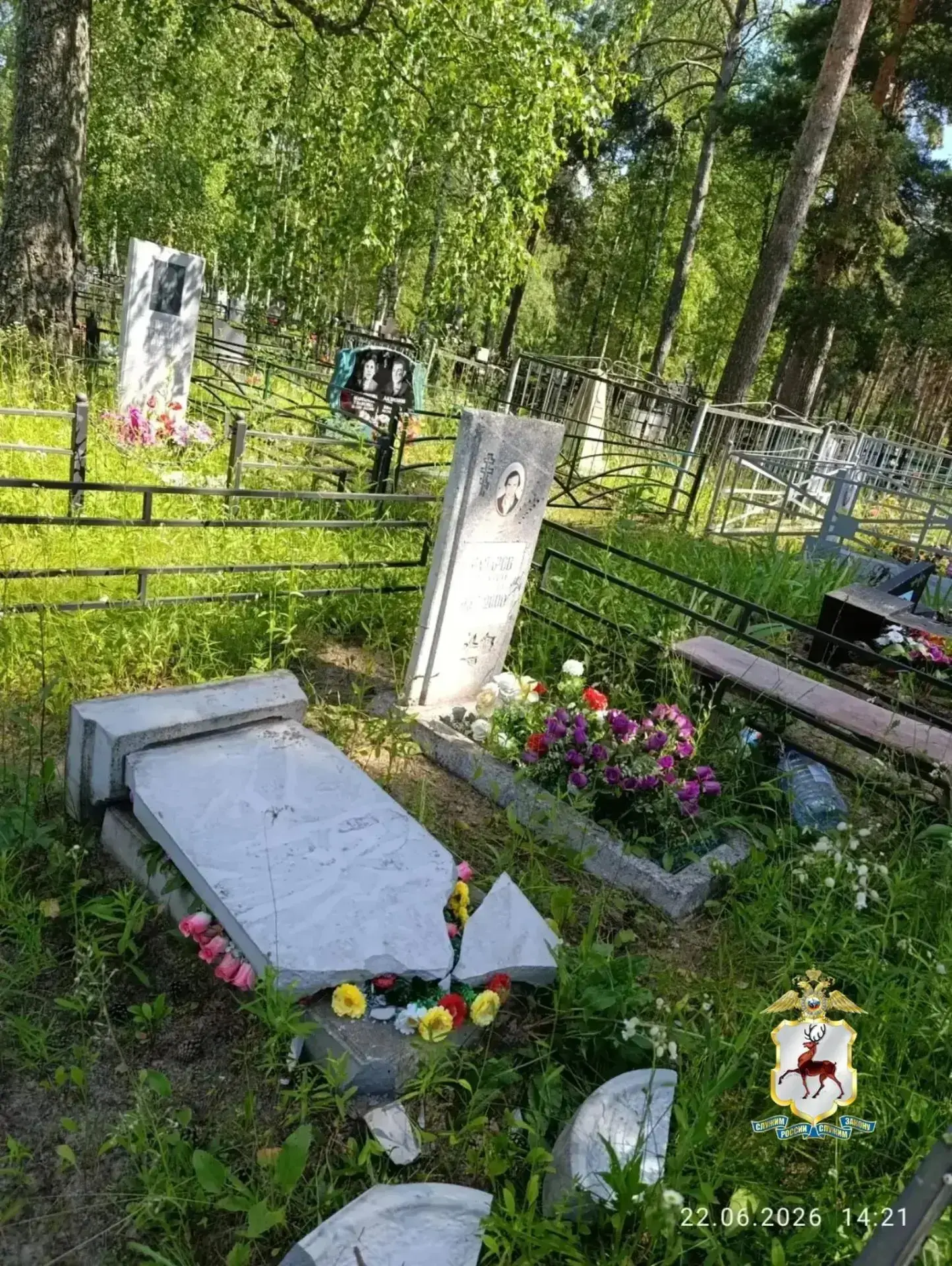 😠 Более 50 надгробий повредили в рабочем посёлке Досчатое в Выксе

Полиция быстро установила личнос