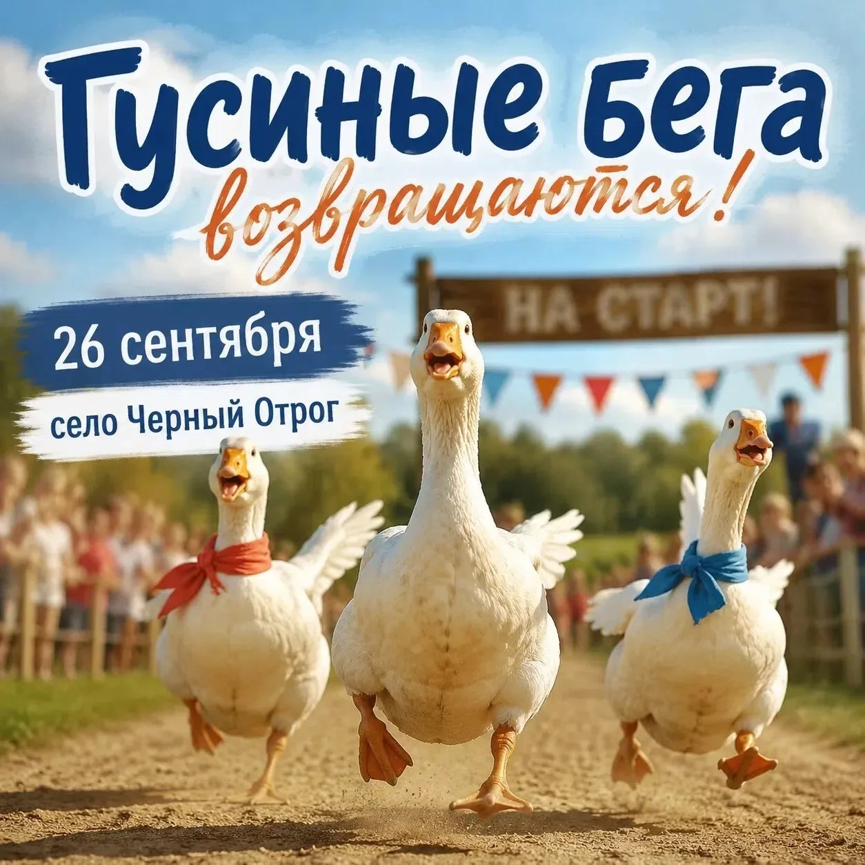 Гуси возвращаются в большой спорт!

26 сентября в Черном Отроге пройдет фестиваль «Га-га-гуси». В пр