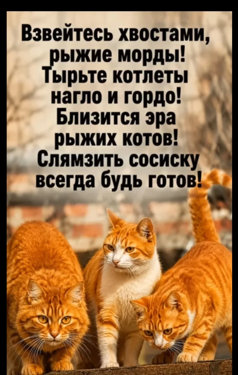 ❤🤣👍