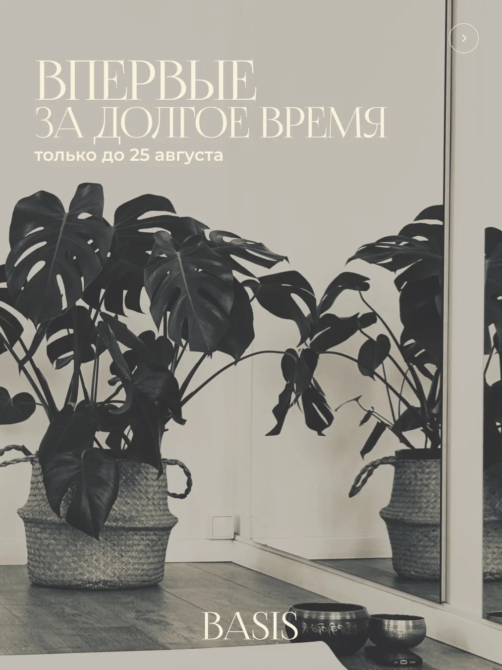 до 25 августа в @basis_tula будут доступны годовые абонементы 🪷