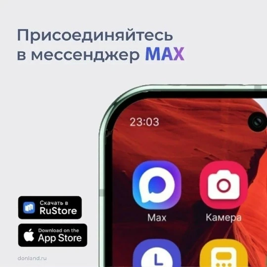 Ростовская область - на платформе российского мессенджера МАХ.