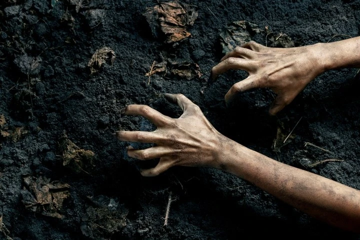 🎥 В Карелии ищут худых мужчин для ролей мертвецов