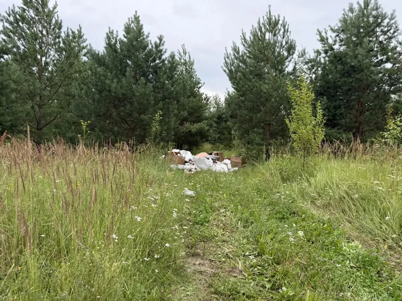 Чистота начинается с нас, и мы продолжаем наводить порядок 🌳

Активные работы по ликвидации несанкц