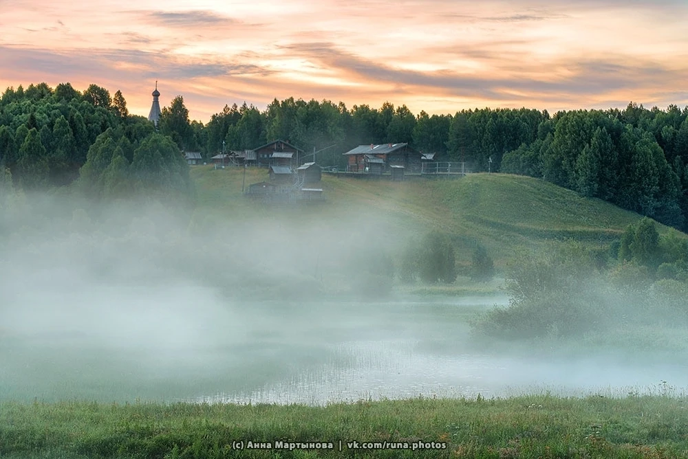 Лето в музее🌿