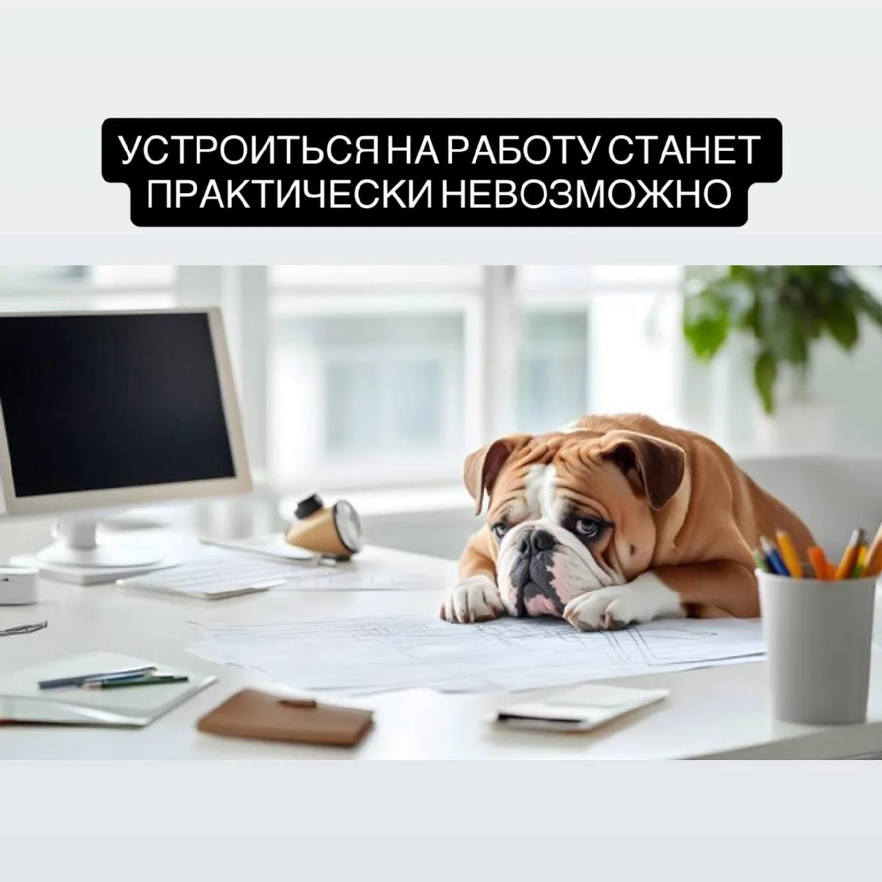 Пауза в найме россиян продолжится в 2026 – 2027 годах, что сделает трудоустройство практически невоз
