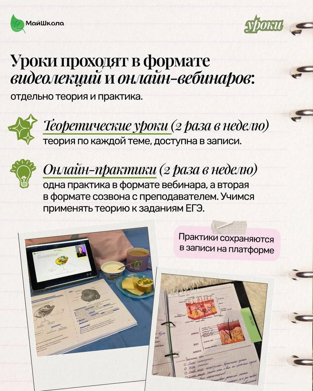 Как выглядит грамотная подготовка к ЕГЭ по биологии 😍