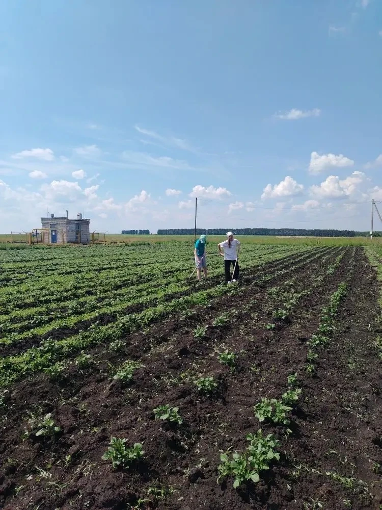Солнечные дни в пришкольном лагере труда и отдыха "Кырмыскалар" проходят в жаркой, но очень продукти