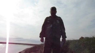 В Югре медведей считают по следам с помощью линейки и GPS