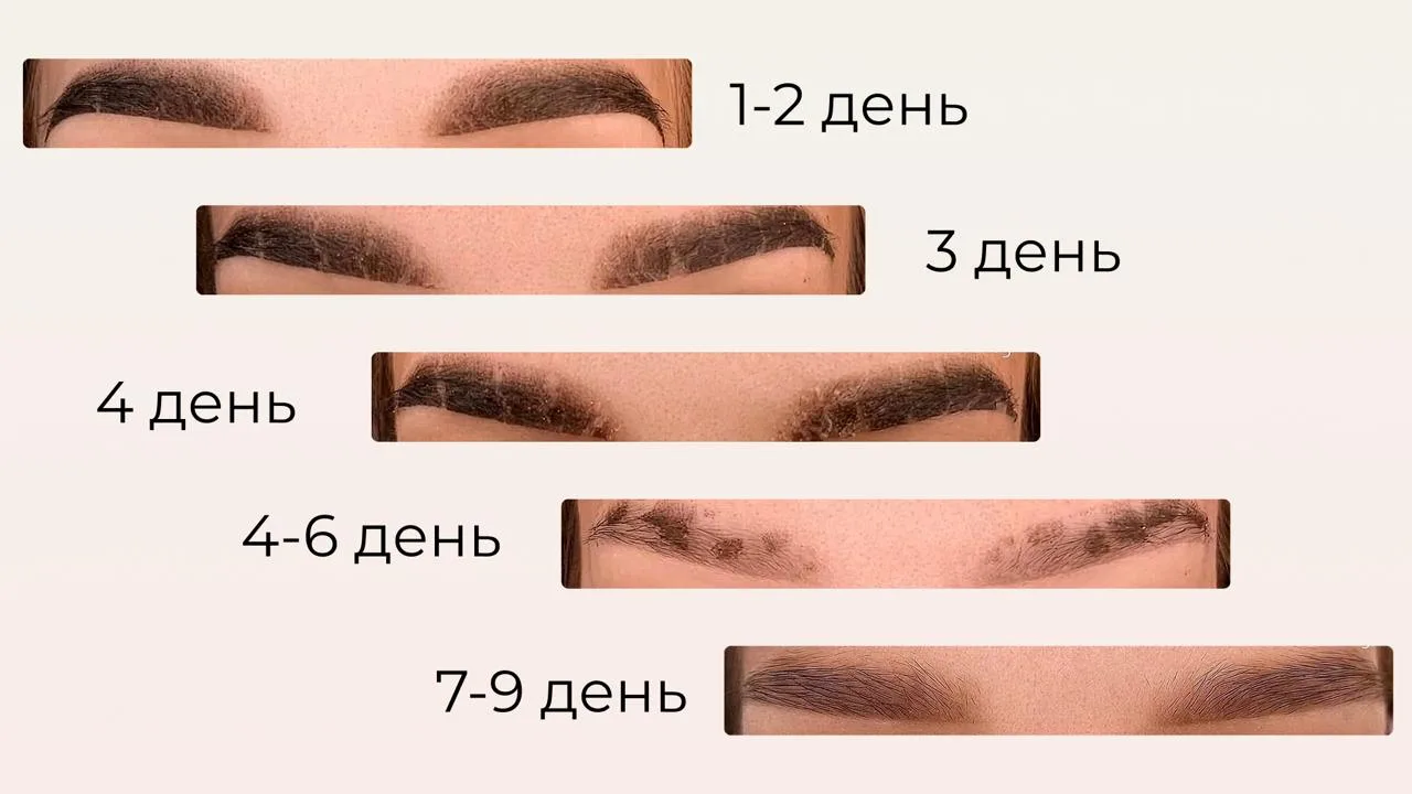 🌸 Когда перманент сделан, остается только не мешать его заживлению. А еще лучше — помо...