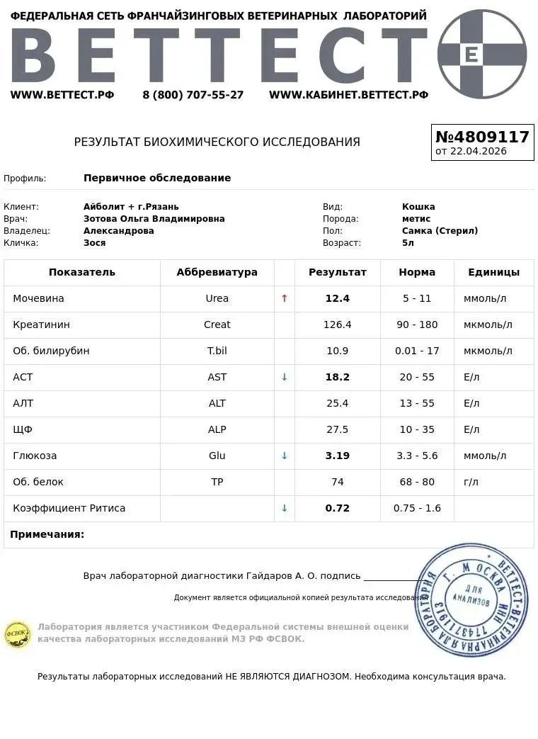 Она не просит многого....Всего лишь шанс на нормальную жизнь… Каждое прикосновение к еде отзывается