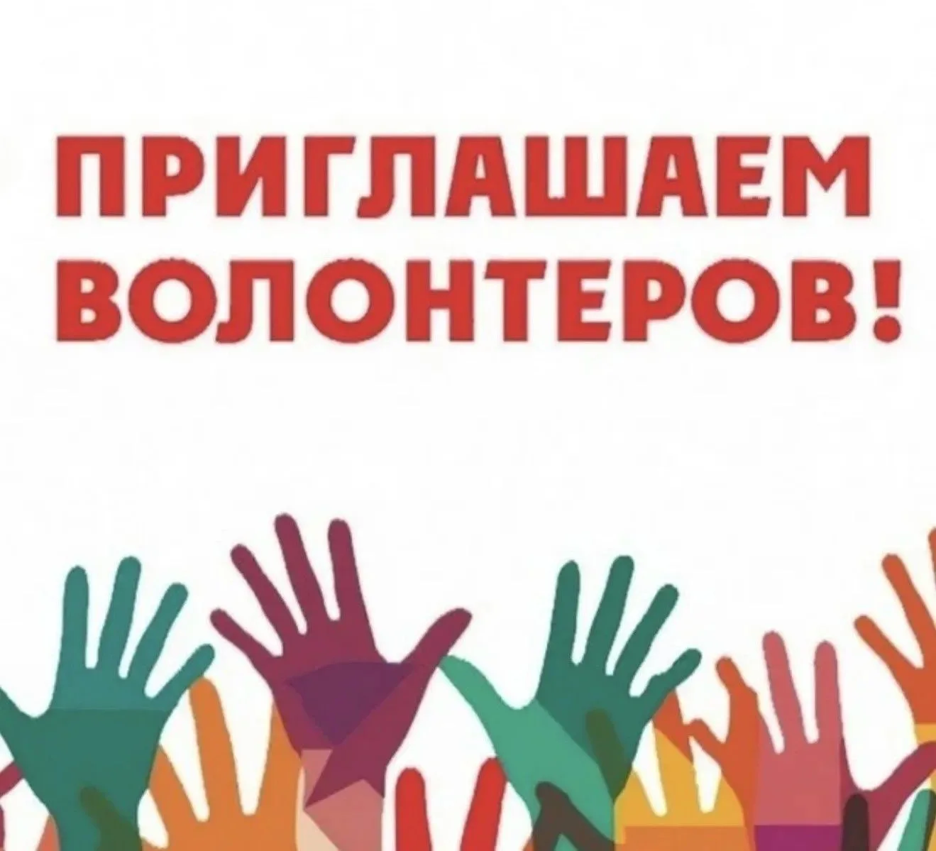 Дорогие ребята !