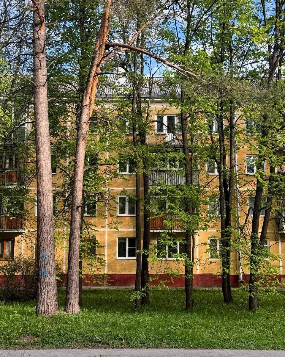 😍Академгородок сейчас обретает еще большую красоту, все цветёт, зеленеет и пахнет. Одно удовольстви