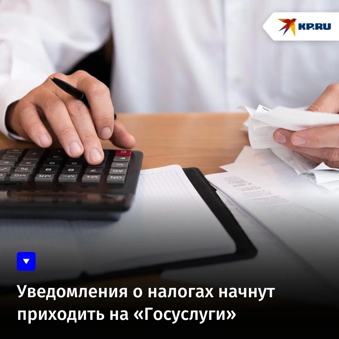Уведомления о налогах начнут приходить на «Госуслуги»