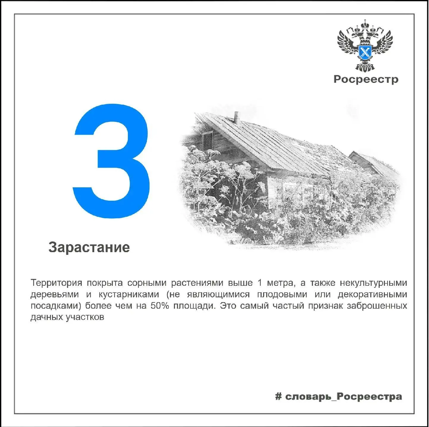 📚 В нашей рубрике «Словарь Росреестра» рассказываем о том, что такое Зарастание.