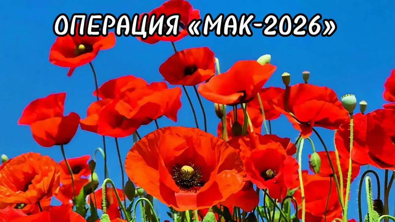 → В Пятигорске стартовал второй этап операции «Мак-2026». С 27 июля по 2 августа сотрудники правоохр