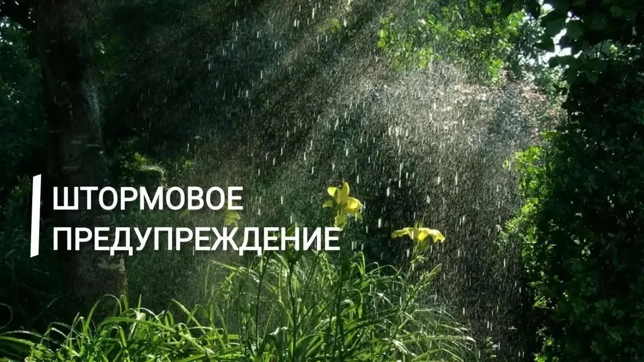 📍Экстренное предупреждение