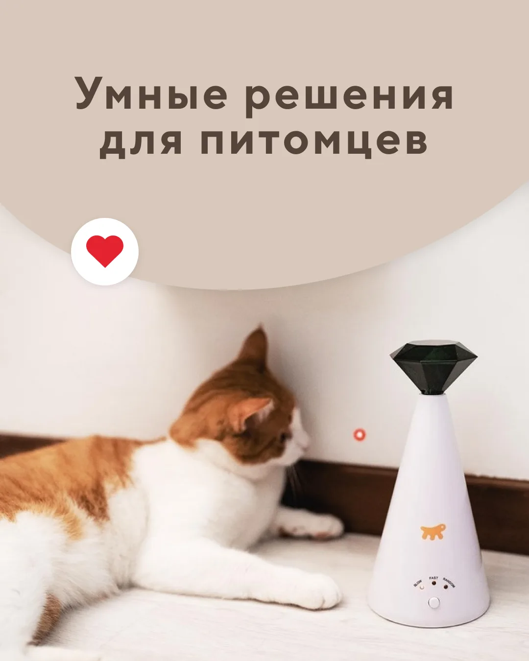 С этими умными девайсами вашим питомцам точно не будет скучно этим летом! 🤍