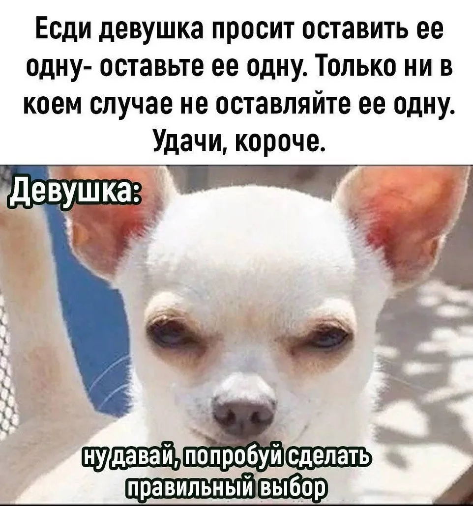 Какой интересный квест😈