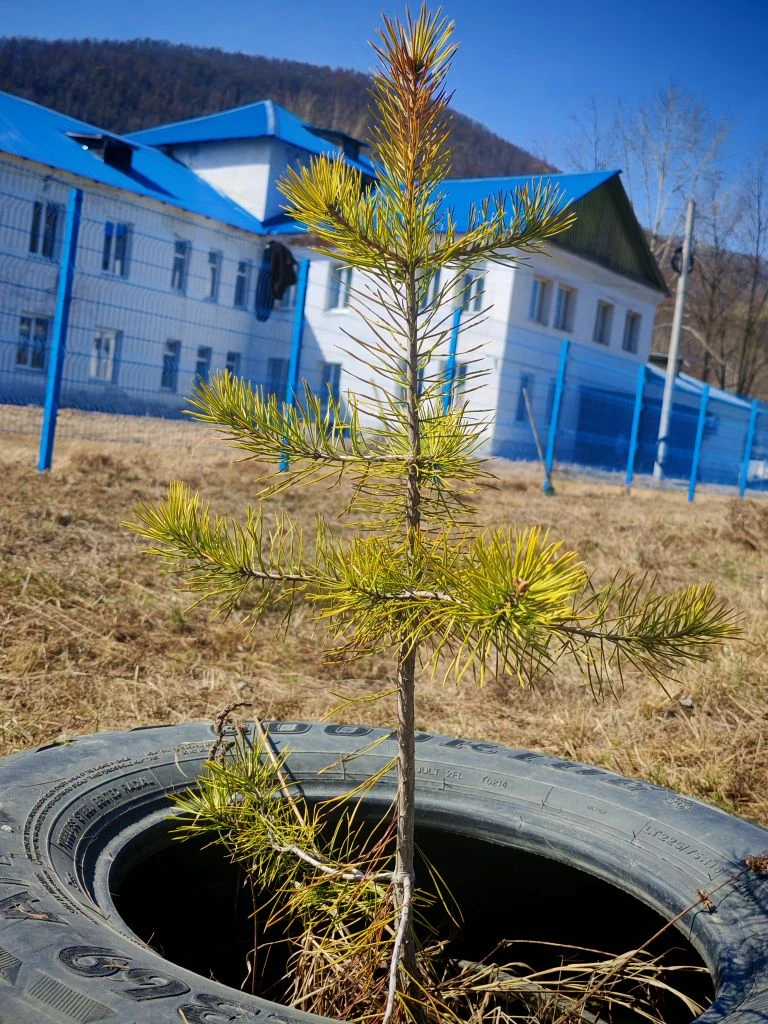 Ура, субботник удался на славу! ✨