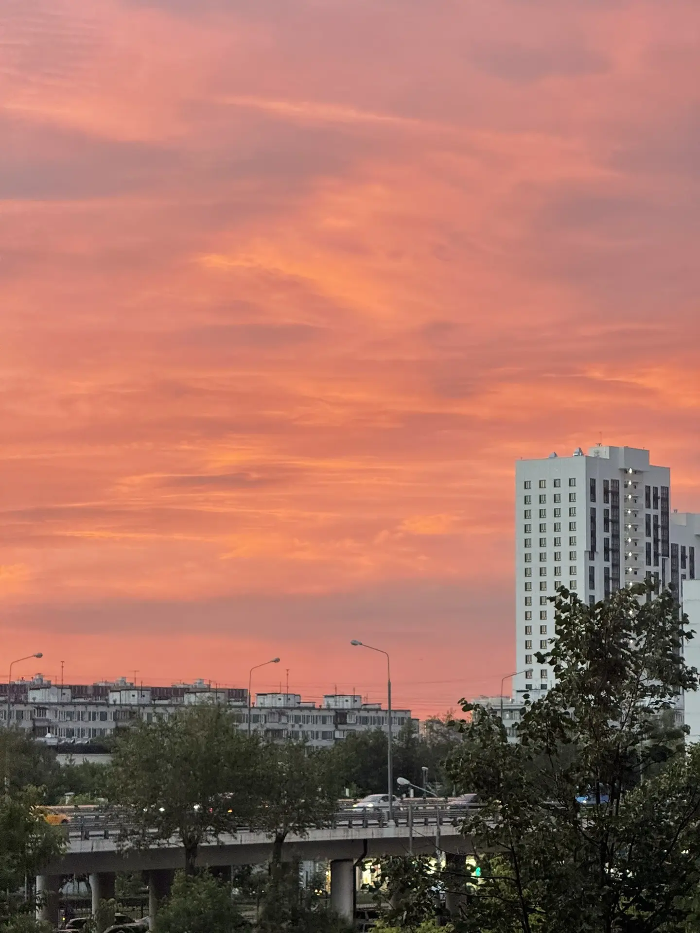 Друзья, делюсь с вами радостями и красотой моментов ✨ Кто не видел, в Москве вчера был необыкновенны