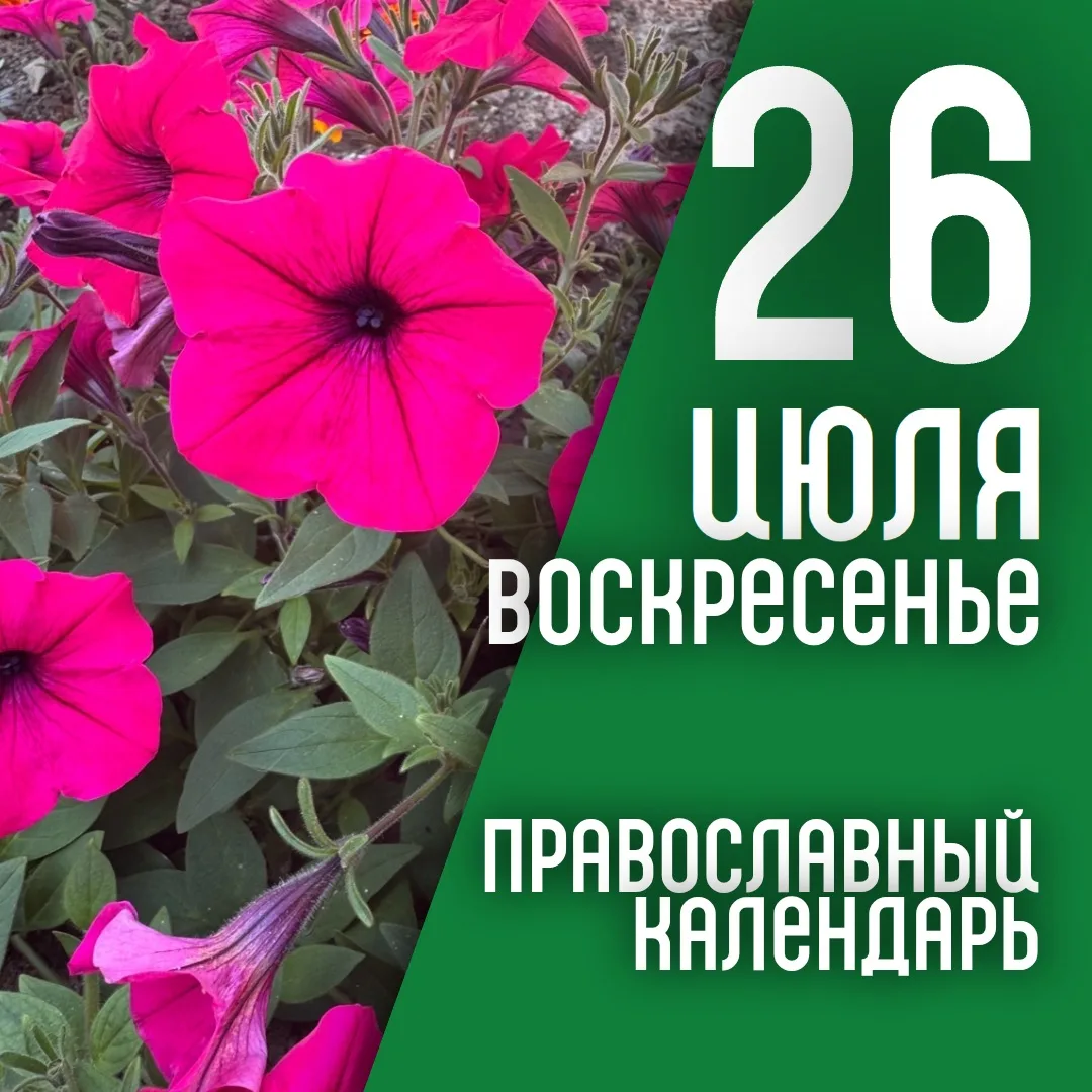 Календарь дня