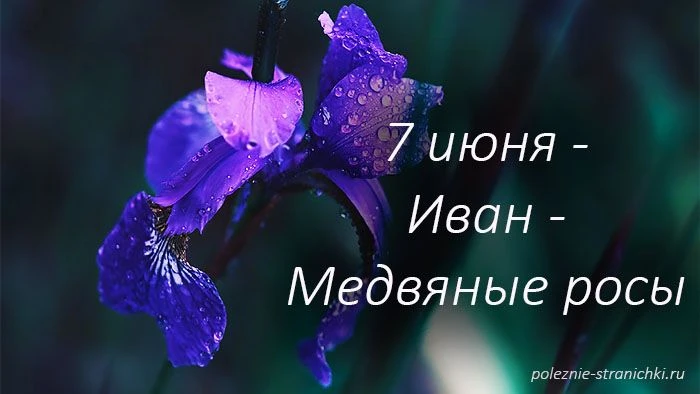 🌸Народные приметы и запреты 7 июня.